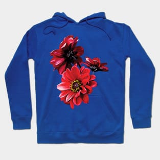 Red Zinnia Trio Hoodie